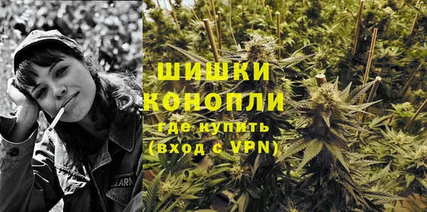 PSILOCYBIN Верхний Тагил