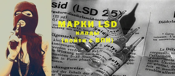 PSILOCYBIN Верхний Тагил