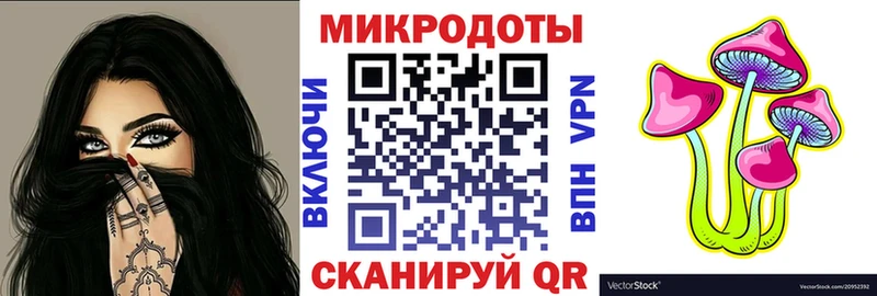 Псилоцибиновые грибы MAGIC MUSHROOMS  наркота  Канаш 